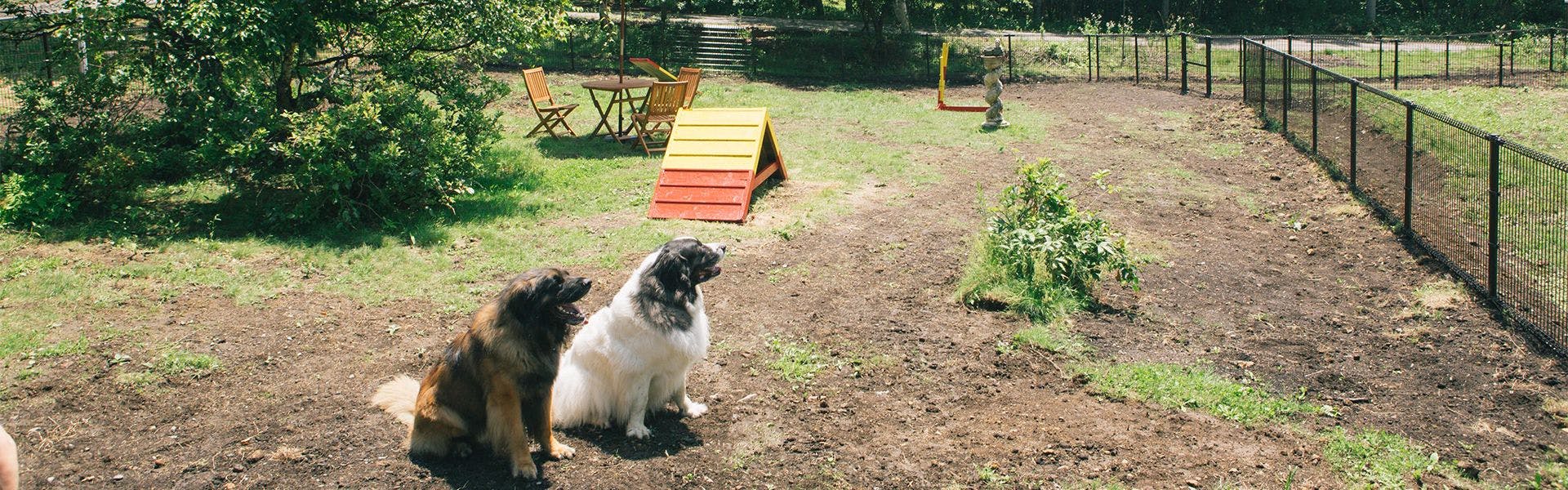 สนามวิ่งเล่นสำหรับสุนัข