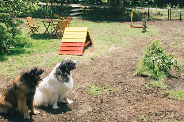 สนามวิ่งเล่นสำหรับสุนัข