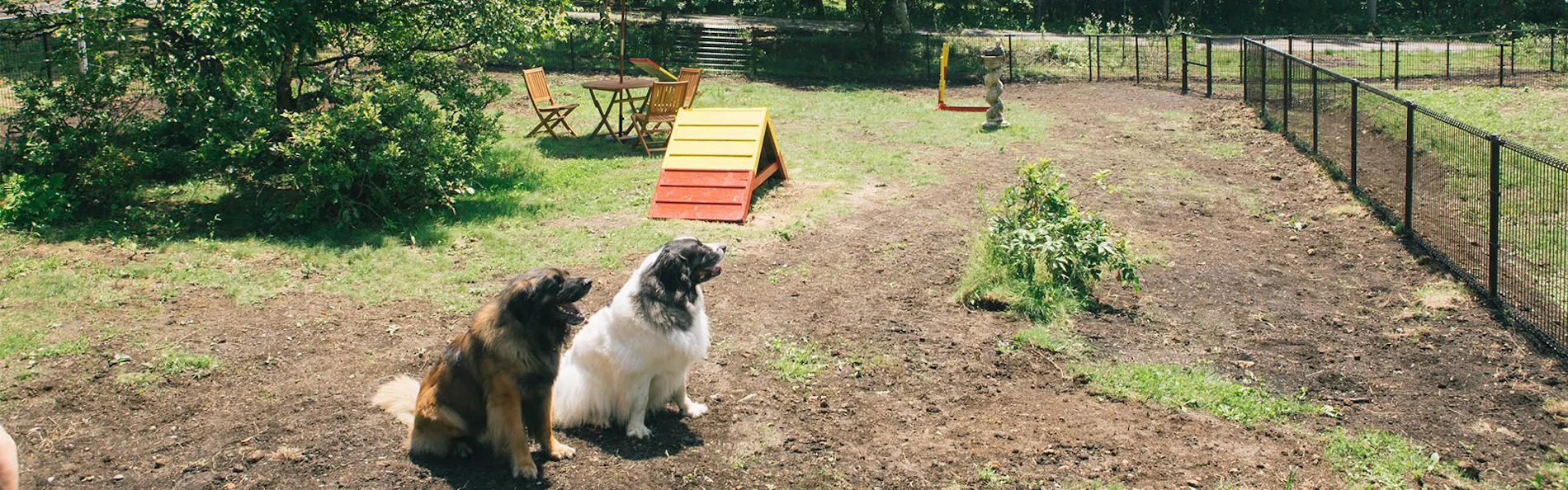 わんわんパラダイス 蓼科(旧:蓼科わんわんパラダイス コテージ)