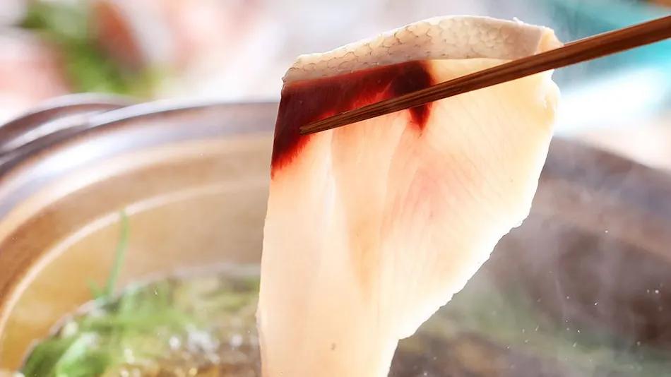 Amanohashidate Onsen Taikyourou