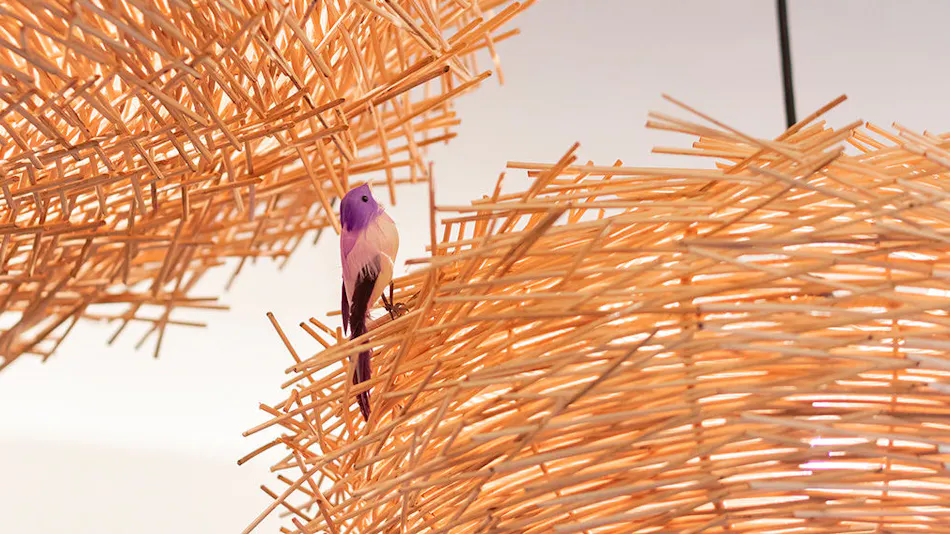 Kitayuzawa Mori no Soraniwa