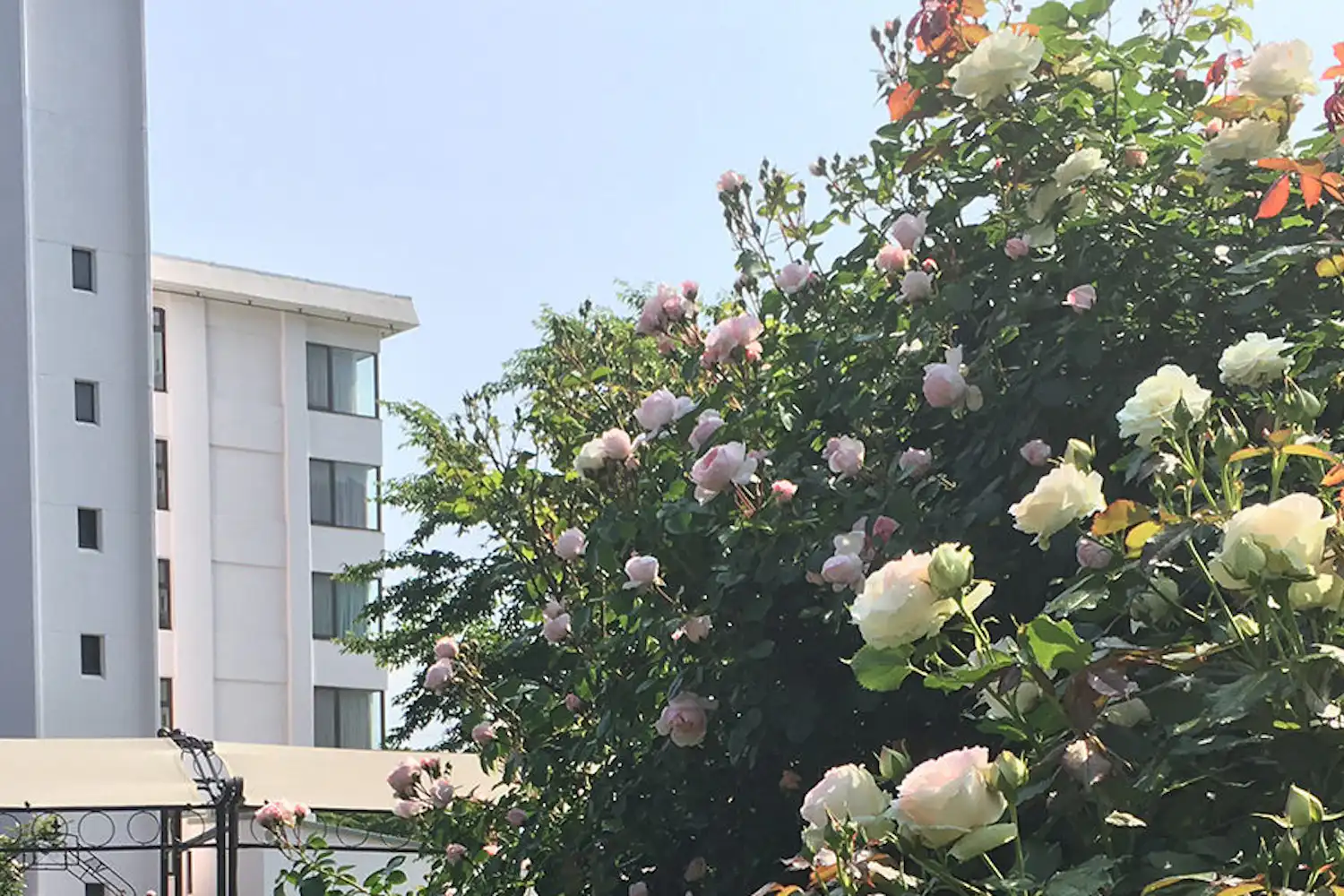 ภายนอก