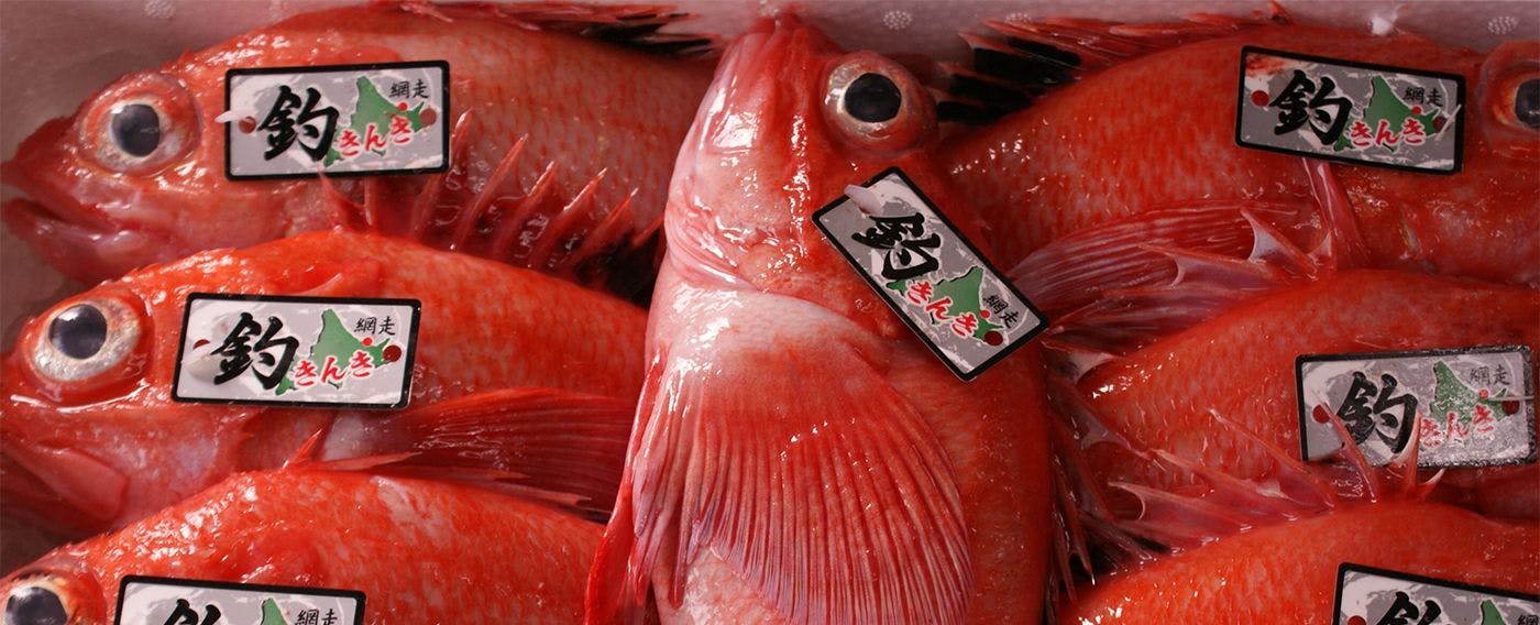 ผู้เชี่ยวชาญคัดสรร 'kinki'