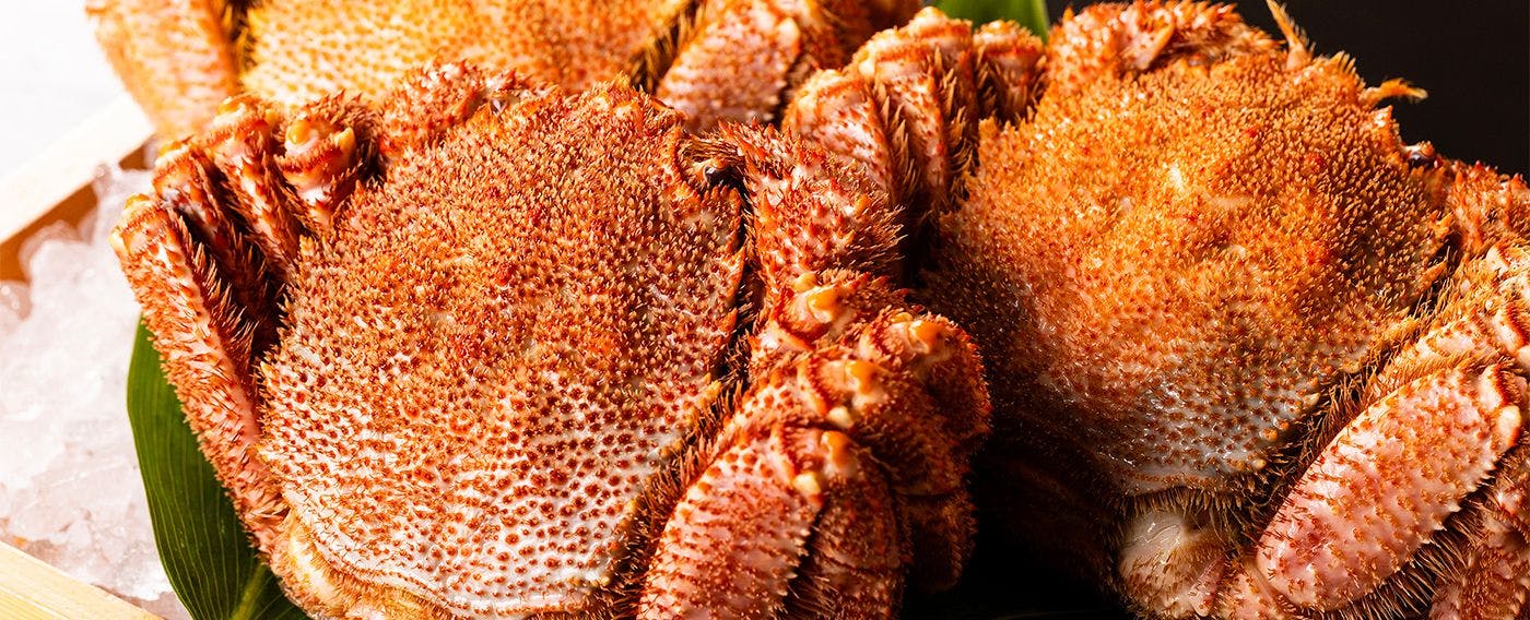 ปูขนเปิดน้ำแข็ง Abashiri