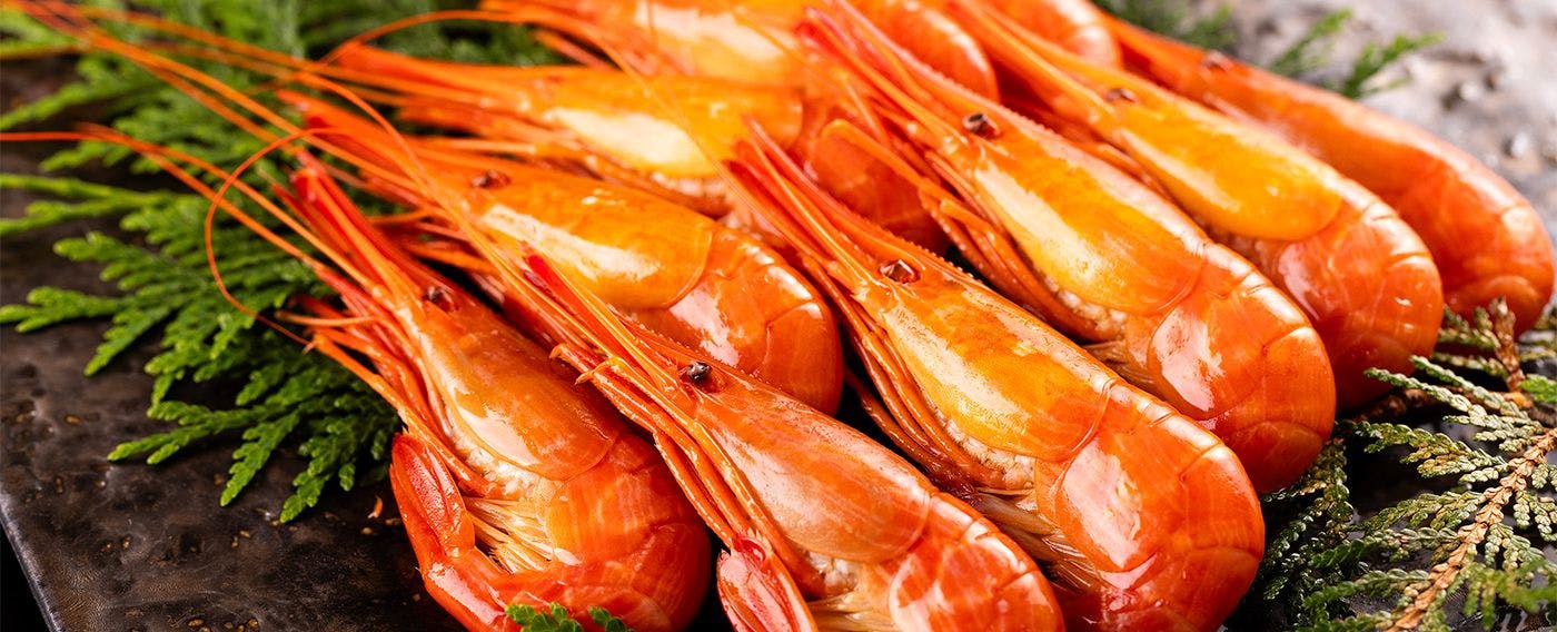 กุ้งฮอกไกโดที่หายากในช่วงเวลาจำกัด
