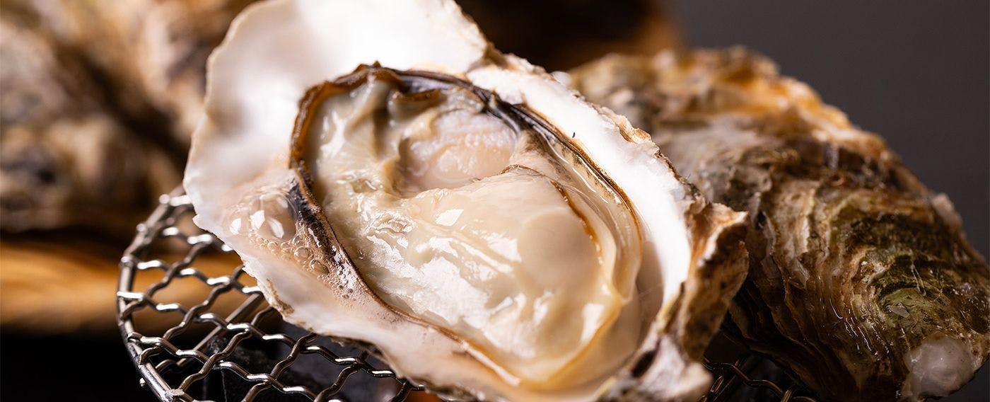 หอยนางรมขนาดใหญ่จากฮอกไกโด