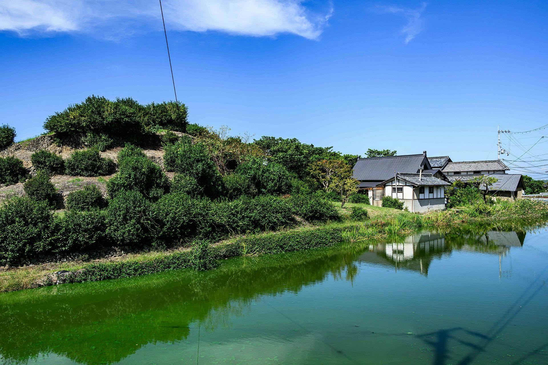 ทัศนียภาพ