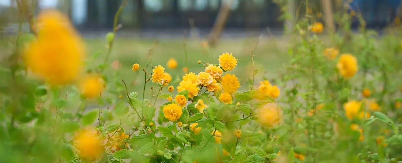 生物栖息地