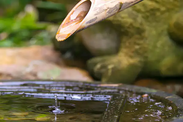 ภายในสิ่งอำนวยความสะดวก