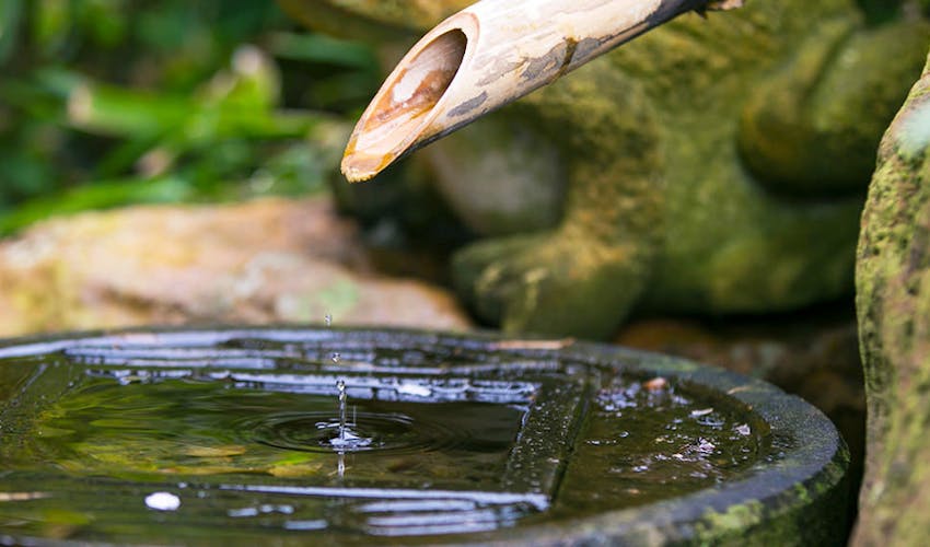弓ヶ浜温泉 くつろぎの御宿 花さと の空室状況を確認する 宿泊予約は 一休 com キラリト
