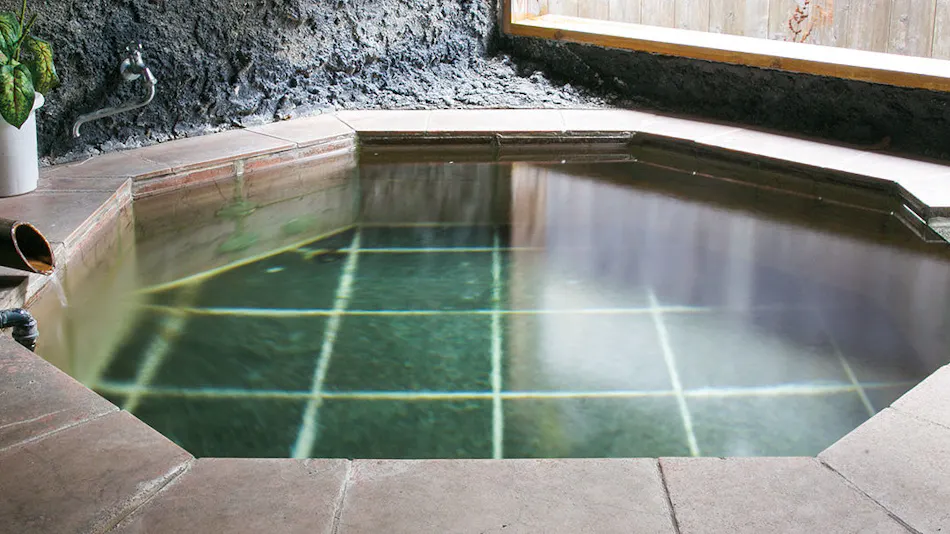 Gensen Kakenagashi Hot Spring Theme Park Ryudo