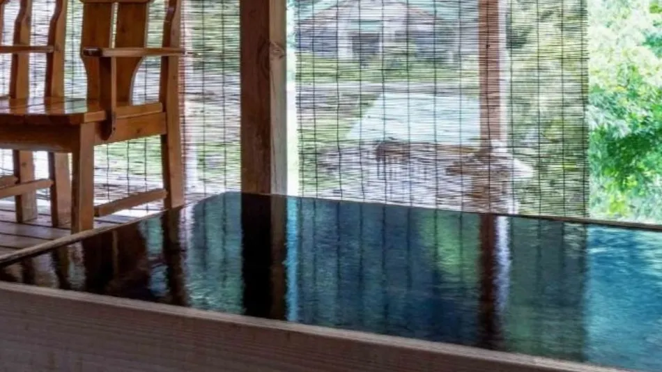 Gensen Kakenagashi Hot Spring Theme Park Ryudo