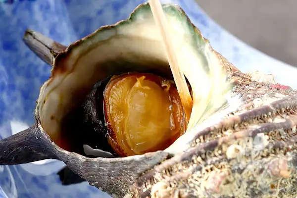 ตัวอย่างอาหาร