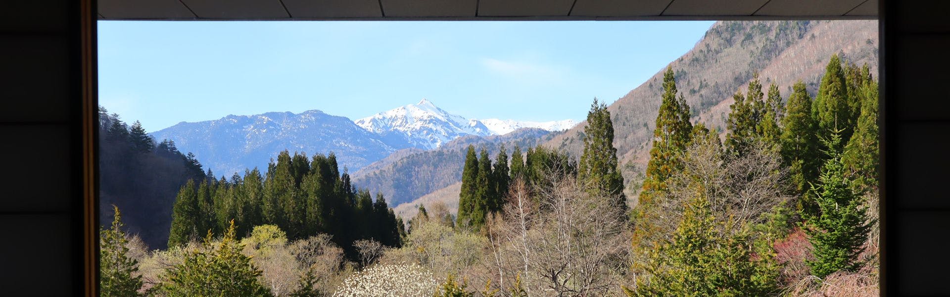深山桜庵別館　湯めぐりの宿　平湯館（共立リゾート）