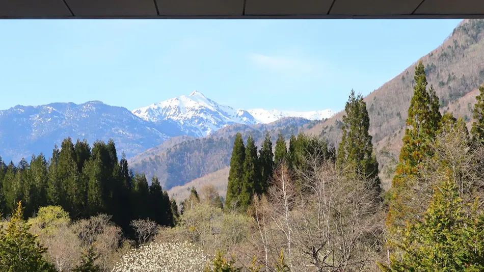 Miyama Sakura-an Annex, Yumeguri no Yado Hirayukan (Kyoritsu Resort)