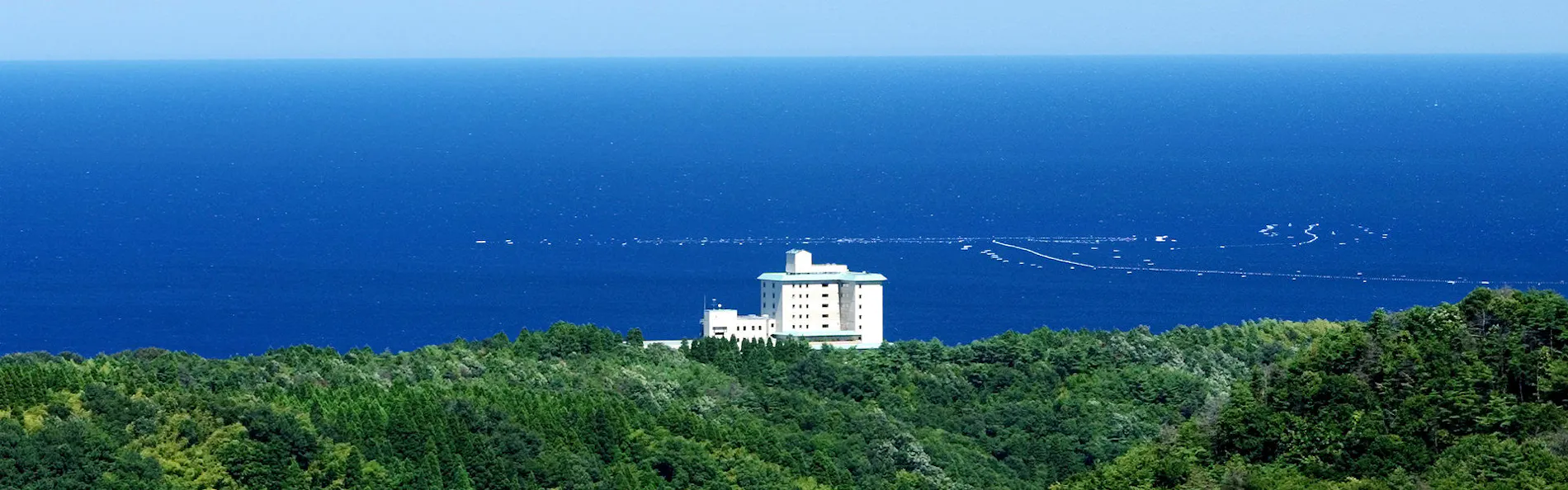 雨晴温泉 磯はなび