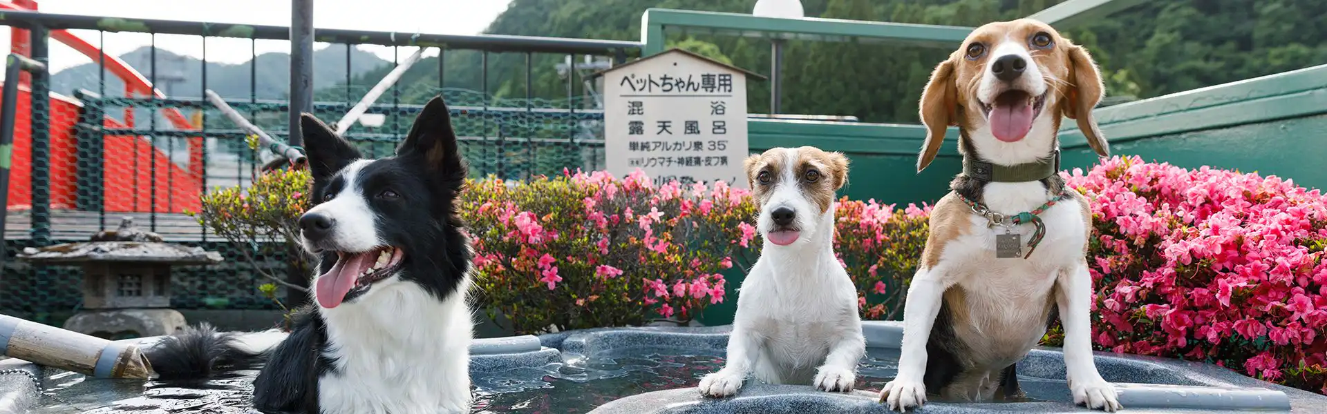 ペット専用露天風呂