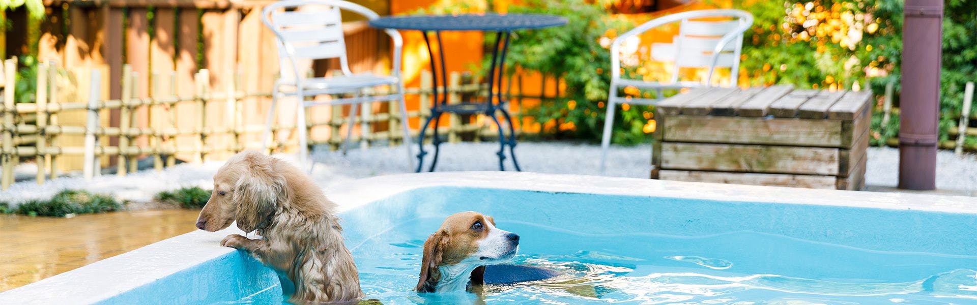 สระว่ายน้ำ