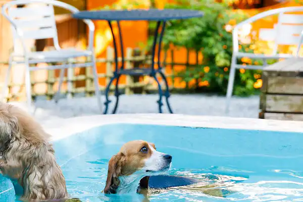 สระว่ายน้ำ