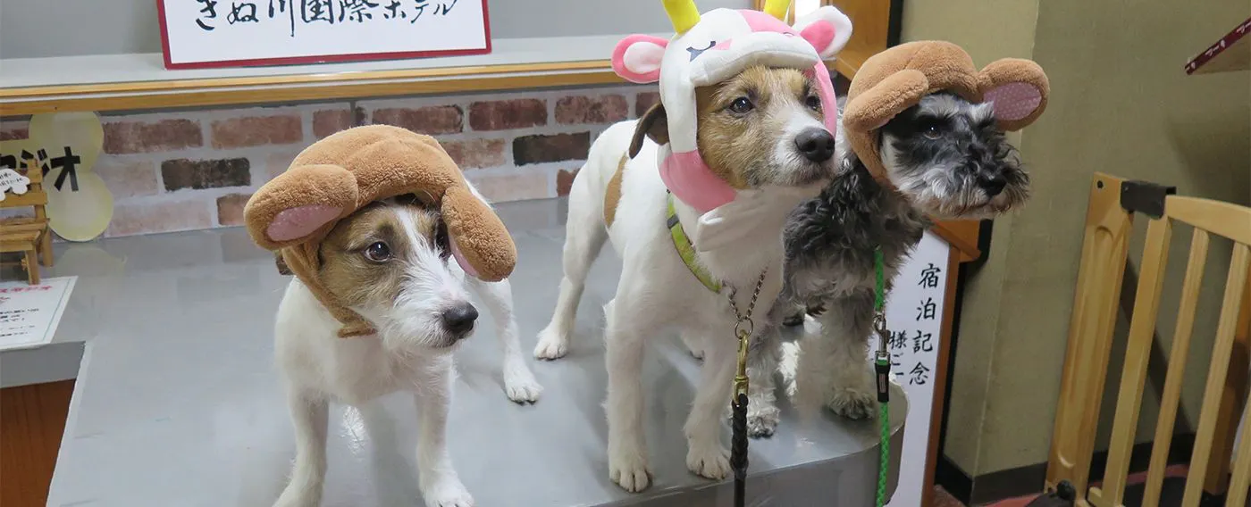 สตูดิโอถ่ายภาพพร้อมบริการให้เช่าชุด