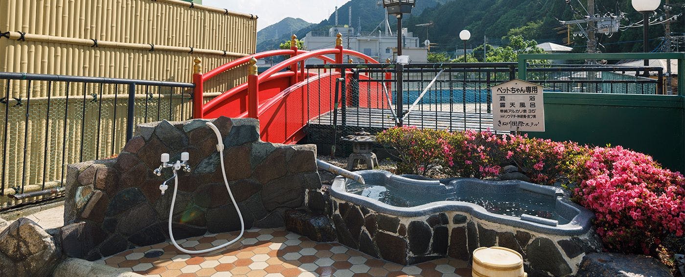 ペット同室宿泊パイオニアの宿　きぬ川国際ホテル