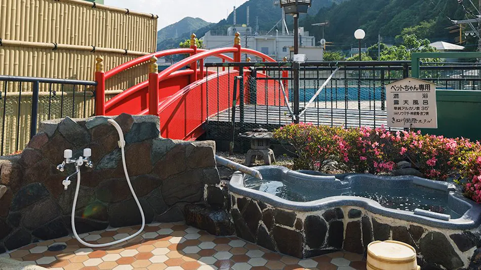 Kinugawa International Hotel: A Pet-Friendly Accommodation with Three Dog Runs