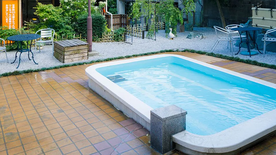 Kinugawa International Hotel: A Pet-Friendly Accommodation with Three Dog Runs