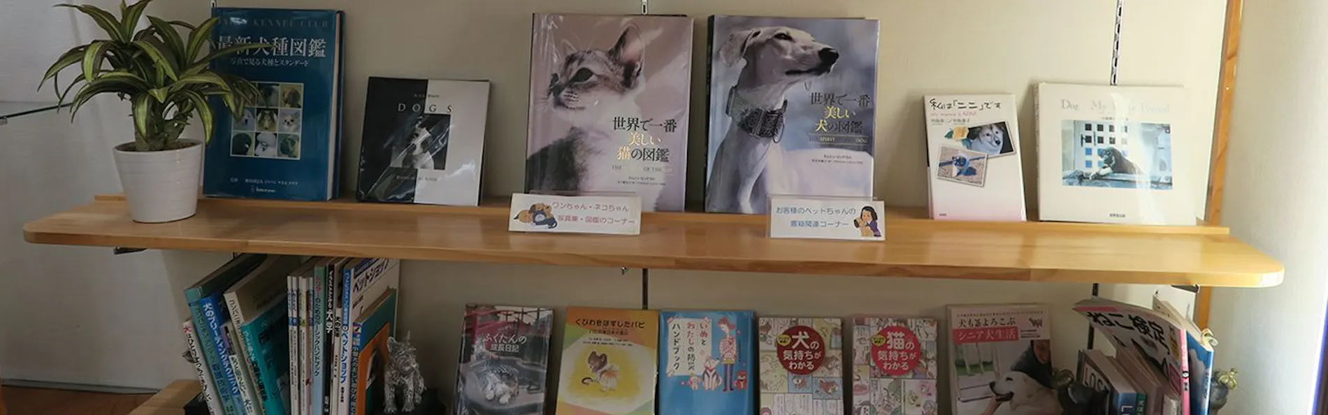 ペット同室宿泊パイオニアの宿 きぬ川国際ホテル