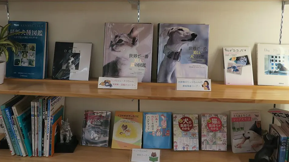 Kinugawa International Hotel: A Pet-Friendly Accommodation with Three Dog Runs