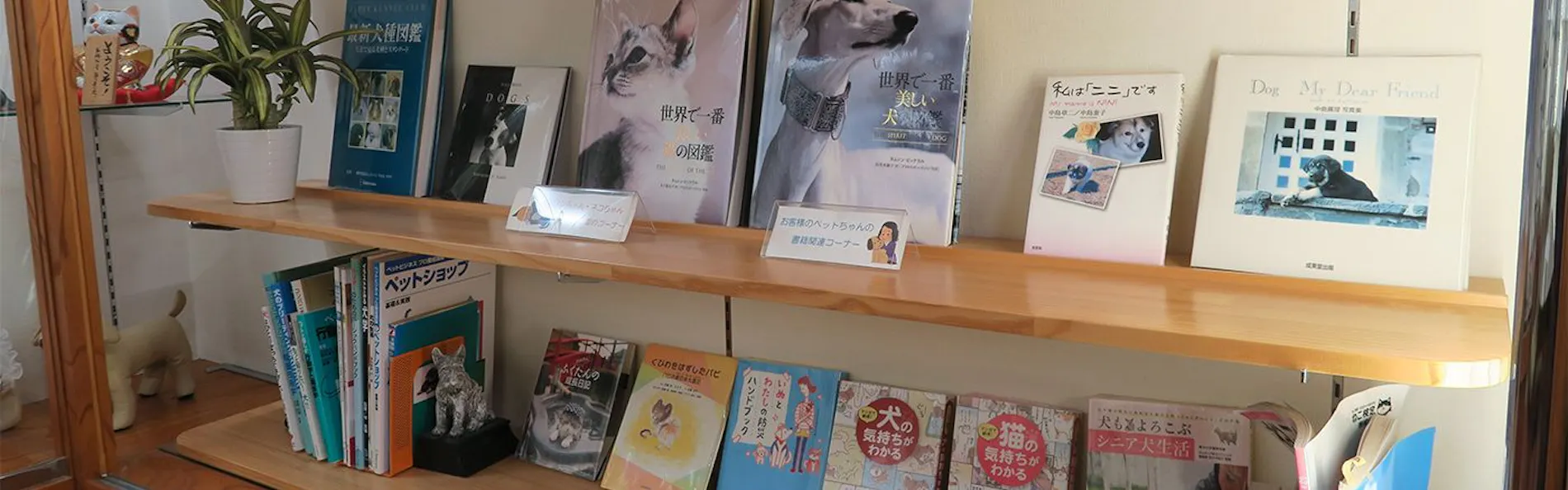 ペット同室宿泊パイオニアの宿 きぬ川国際ホテル