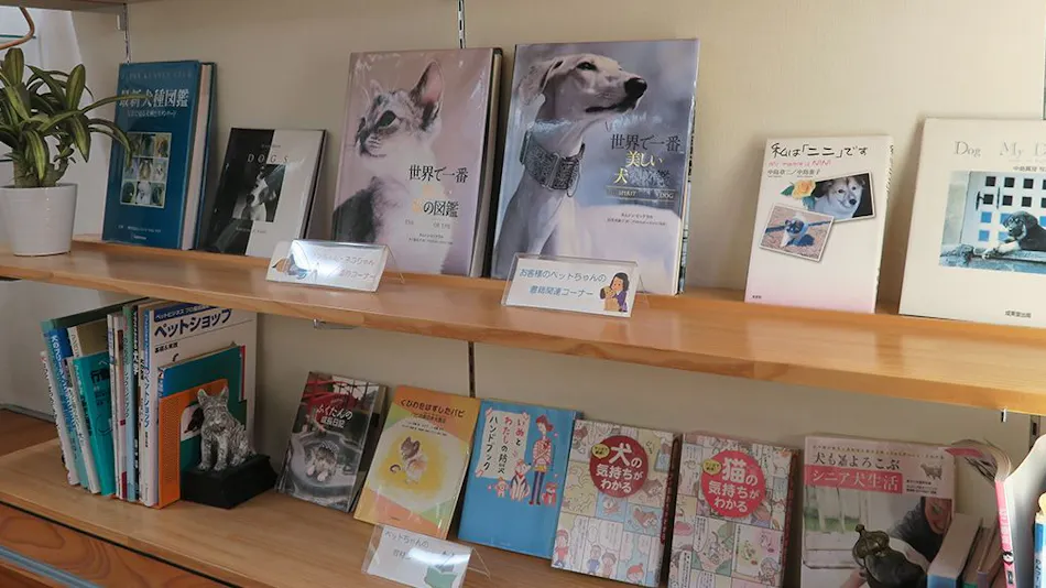 Kinugawa International Hotel: A Pet-Friendly Accommodation with Three Dog Runs