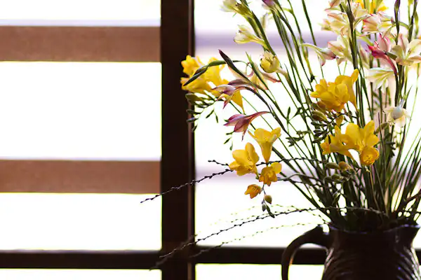 ภายในอาคาร