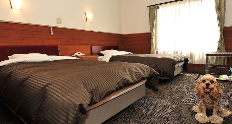 九州 ペットと泊まれる宿 17選 お得に宿泊予約 Yahoo トラベル 九州 ペットと泊まれる宿 17選 お得に宿泊予約 Yahoo トラベル