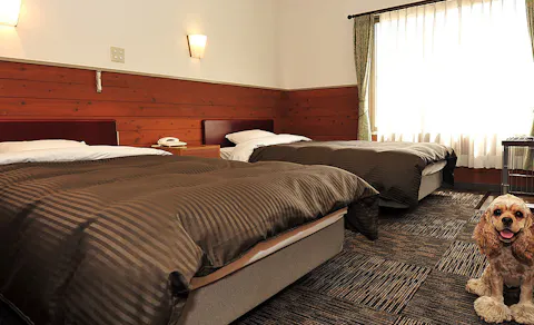 22年最新 九州 ペットと泊まれる宿ランキング Yahoo トラベル 22年最新 九州 ペットと泊まれる宿ランキング Yahoo トラベル