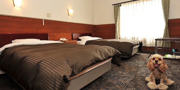 22年最新 九州 ペットと泊まれる宿ランキング 一休 Com 22年最新 九州 ペットと泊まれる宿ランキング 一休 Com