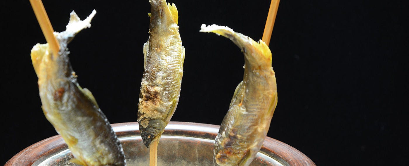 お食事一例