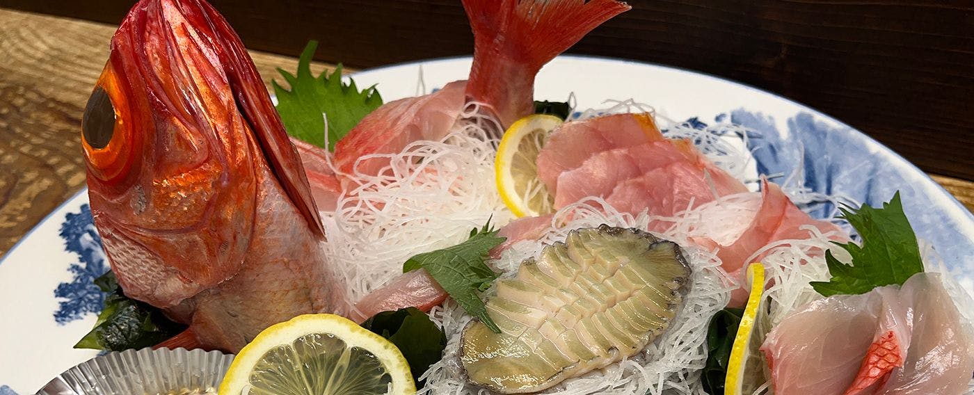 伊豆ドッグペンション　ことぶきベース
