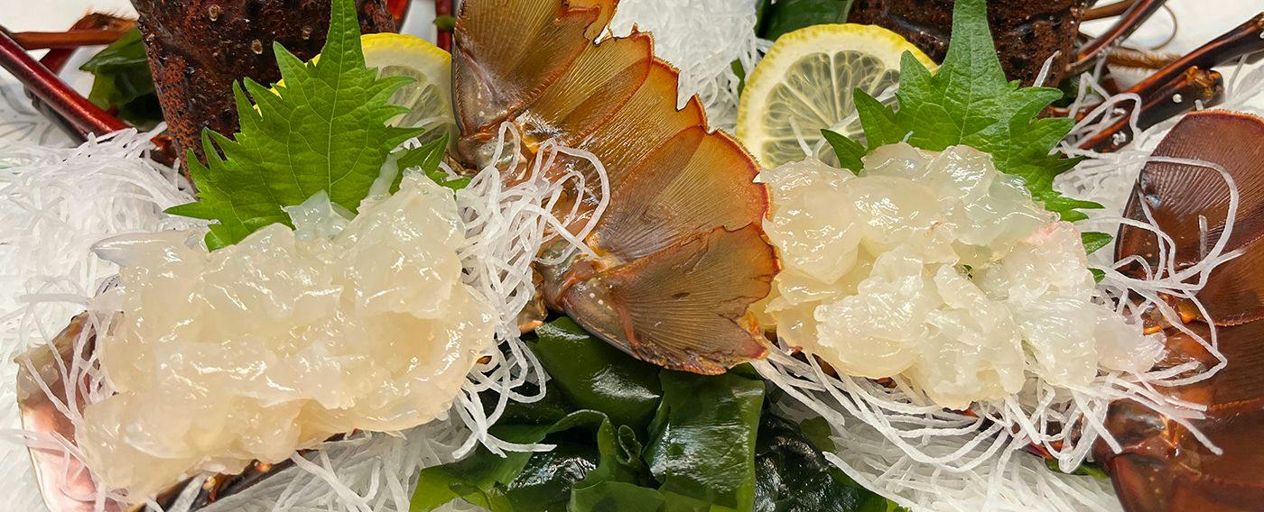 伊豆ドッグペンション　ことぶきベース