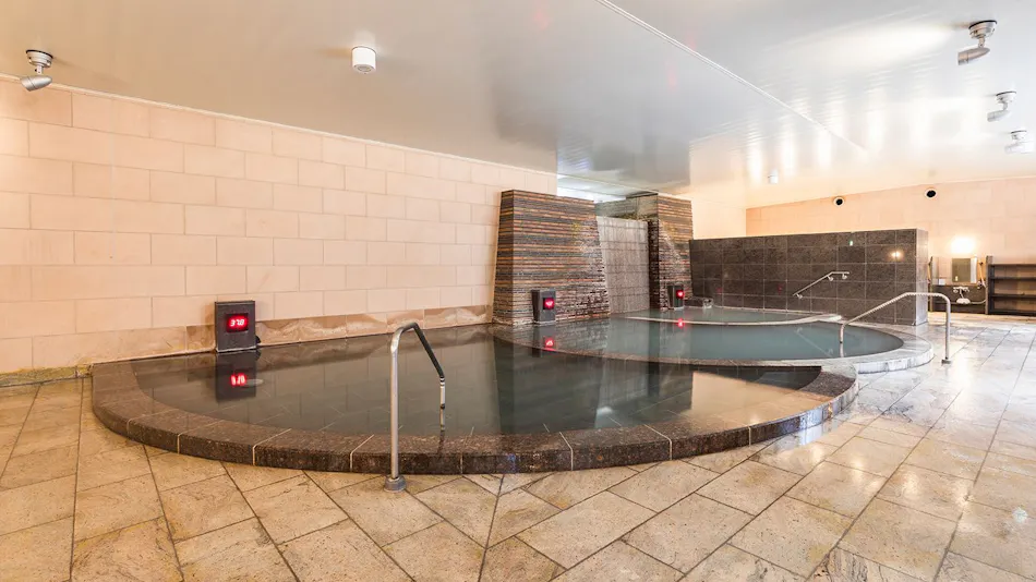 Hotel Ichii
