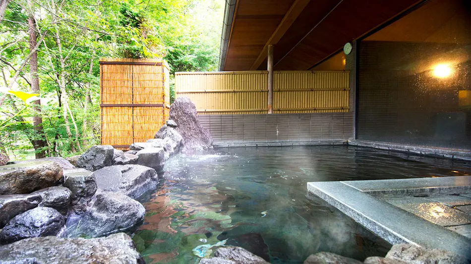 Azumino Hotaka View Hotel