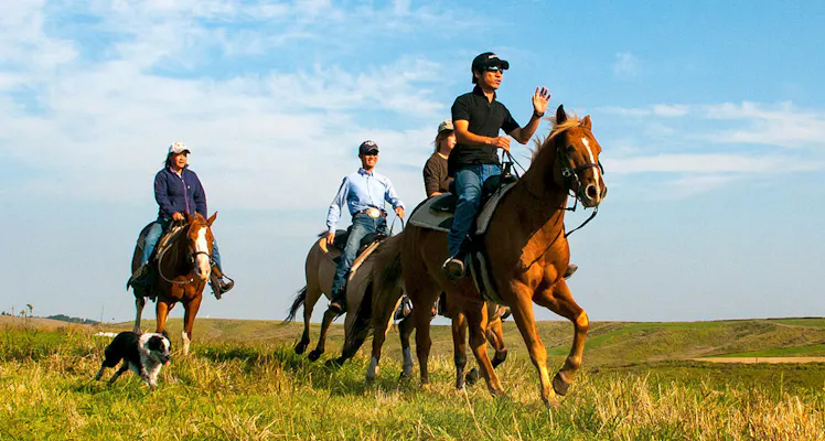 阿蘇のペットokのお部屋 高級ホテル 旅館 お得に宿泊予約 Yahoo トラベル 阿蘇のペットokのお部屋 高級ホテル 旅館 お得に宿泊予約 Yahoo トラベル