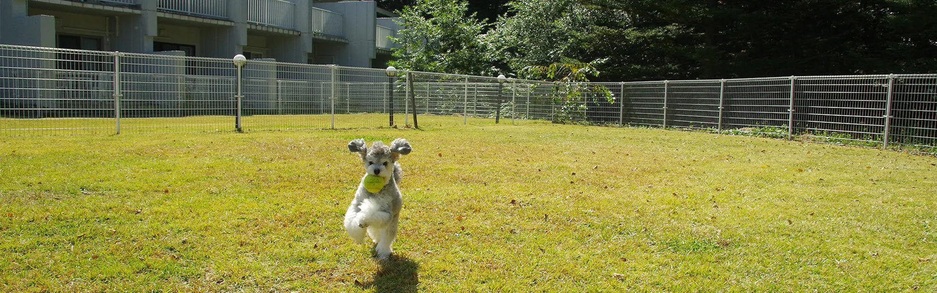 アート ホテル ドッグレッグ 軽井沢