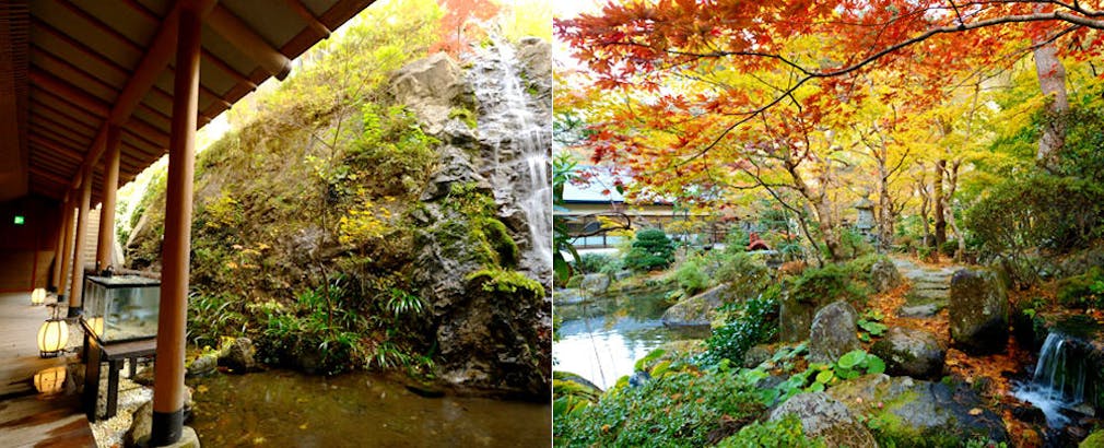 æ¥æ¬åº­å