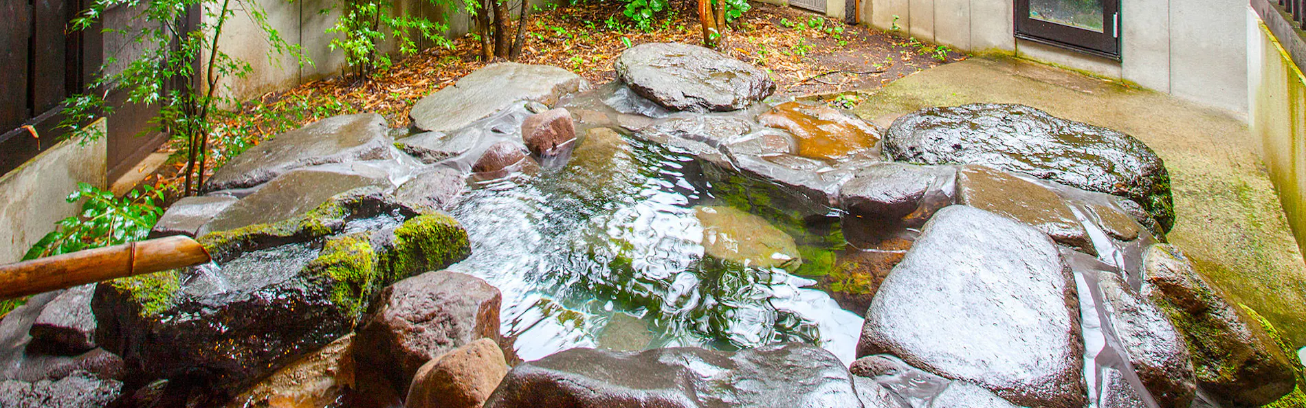 阿蘇乃やまぼうし