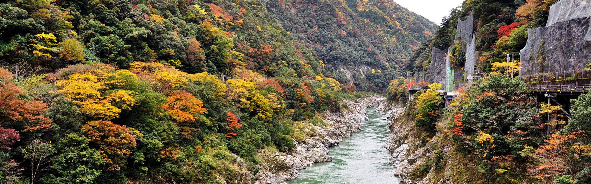 峡谷の湯宿 大歩危峡まんなか の空室状況を確認する 宿泊予約は 一休 Com