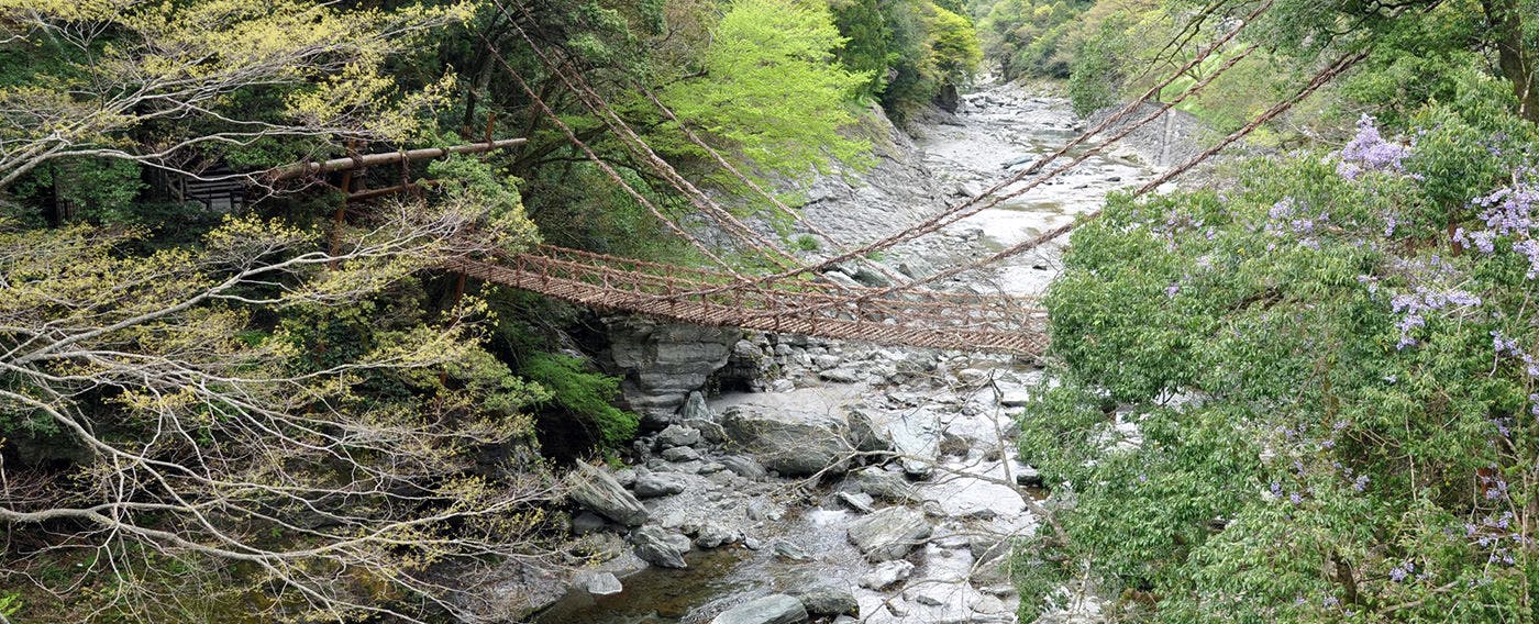 峡谷の湯宿 大歩危峡まんなか