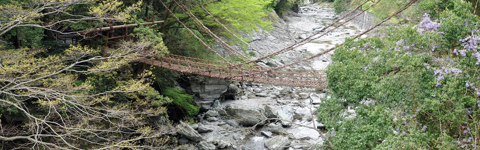 峡谷の湯宿 大歩危峡まんなか