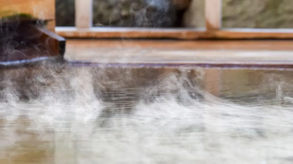 Tsugaru Clan Honjin Inn Yanagi no Yu