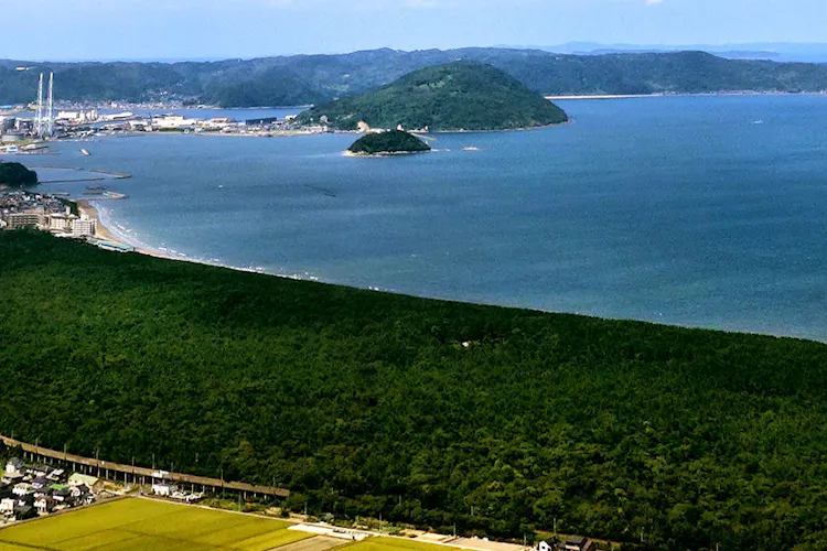 旅館魚半 宿泊予約なら Yahoo トラベル 旅館魚半 宿泊予約なら Yahoo トラベル