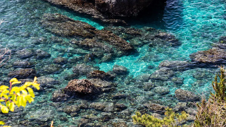 Zhishan Tianyou